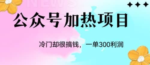 冷门公众号加热项目，一单利润300+_网创掘金