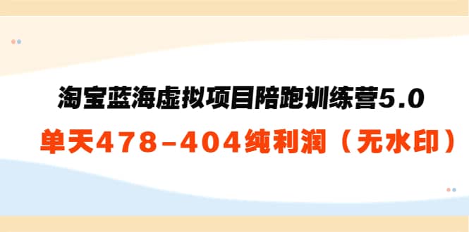 淘宝蓝海虚拟项目陪跑训练营5.0：单天478纯利润（无水印）_网创掘金