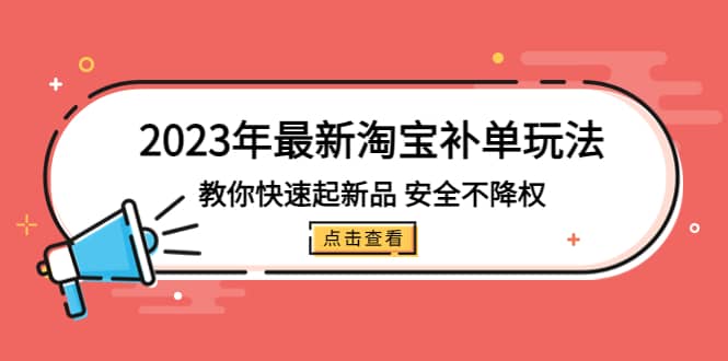 2023年最新淘宝补单玩法，教你快速起·新品，安全·不降权（18课时）_网创掘金
