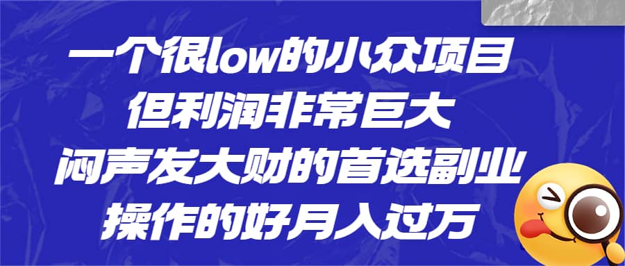 一个很low的小众项目，但利润非常巨大，闷声发大财的首选副业，月入过万_网创掘金