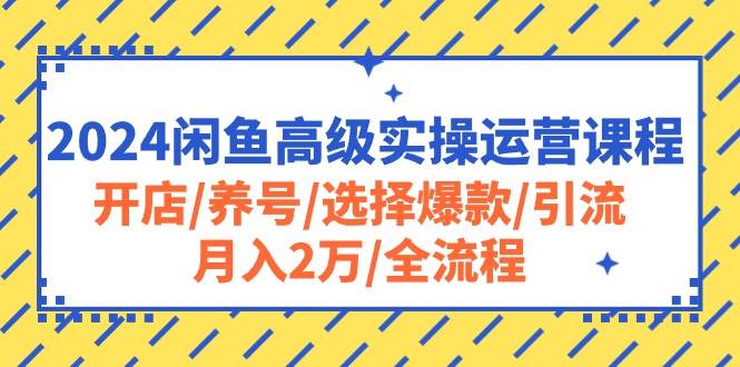 2024闲鱼高级实操运营课程：开店/养号/选择爆款/引流/月入2万/全流程_网创掘金