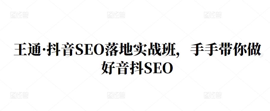 王通·抖音SEO落地实战班，手‬手带你做好音抖‬‬SEO_网创掘金