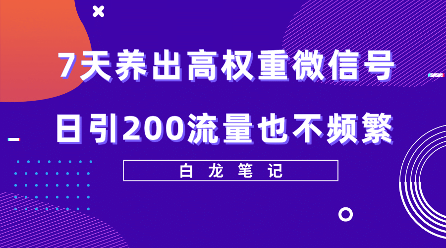 7天养出高权重微信号，日引200流量也不频繁，方法价值3680元_网创掘金