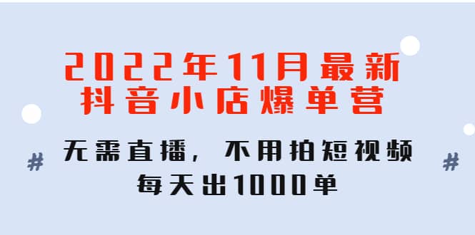 2022年11月最新抖音小店爆单训练营：无需直播，不用拍短视频，每天出1000单_网创掘金