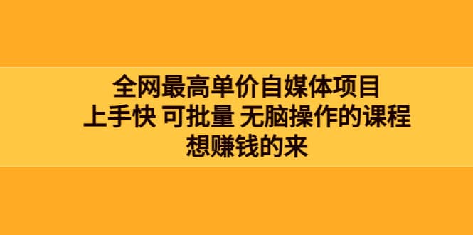 全网最单高价自媒体项目：上手快 可批量 无脑操作的课程，想赚钱的来_网创掘金