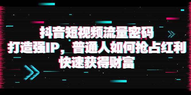 抖音短视频流量密码：打造强IP，普通人如何抢占红利，快速获得财富_网创掘金