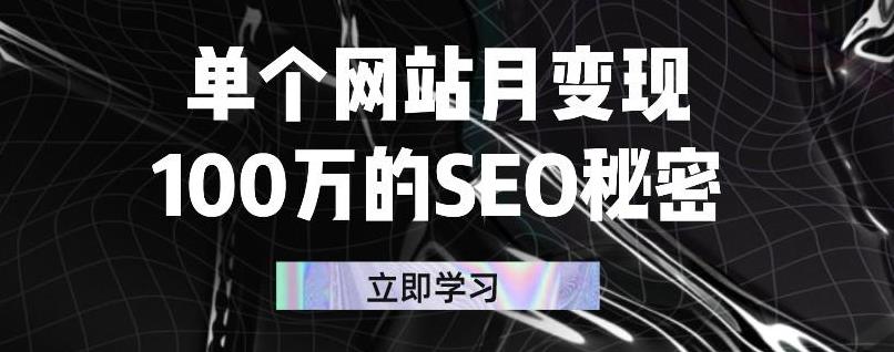 单个网站月变现100万的SEO秘密，百分百做出赚钱站点_网创掘金