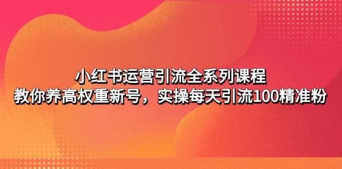 小红书运营引流全系列课程：教你养高权重新号_网创掘金
