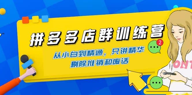 拼多多店群训练营：从小白到精通，只讲精华，剔除推销和废话_网创掘金