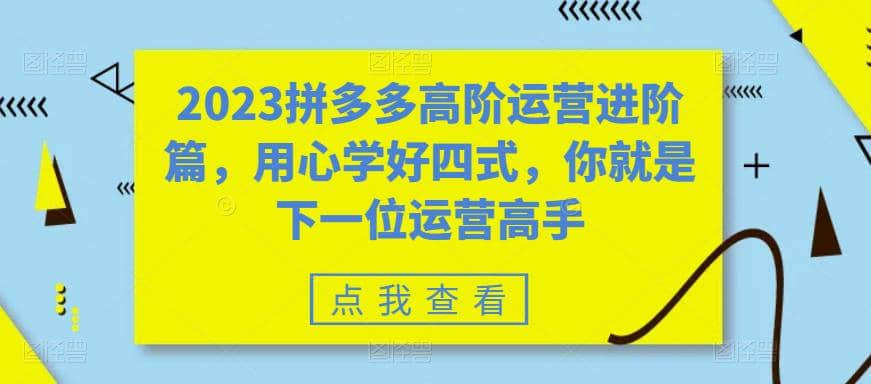 2023拼多多高阶运营进阶篇，用心学好四式，你就是下一位运营高手_网创掘金