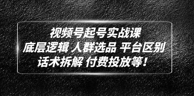 视频号起号实战课：底层逻辑 人群选品 平台区别 话术拆解 付费投放等_网创掘金