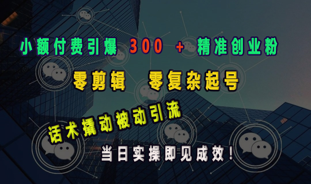 小额付费引爆 300 + 精准创业粉，零剪辑、零复杂起号，话术撬动被动引流，当日实操即见成效！_网创掘金