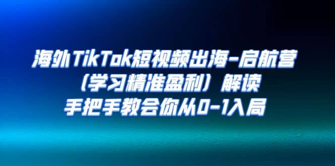 海外TikTok短视频出海-启航营（学习精准盈利）解读，手把手教会你从0-1入局_网创掘金