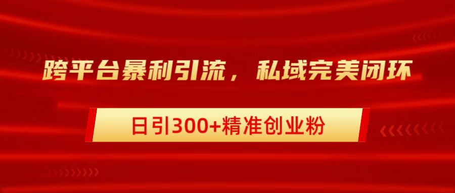 跨平台暴力引流，私域完美闭环，日引300+精准创业粉_网创掘金