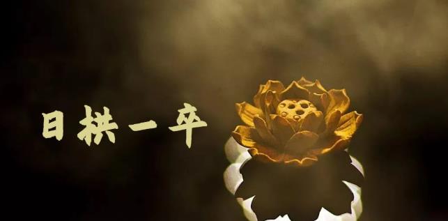 无脑搬砖，普通人可以复制的副业赚钱项目(附软件)_网创掘金