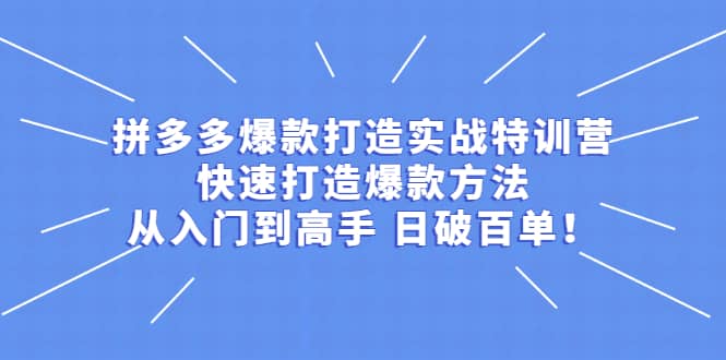 拼多多爆款打造实战特训营：快速打造爆款方法，从入门到高手 日破百单_网创掘金