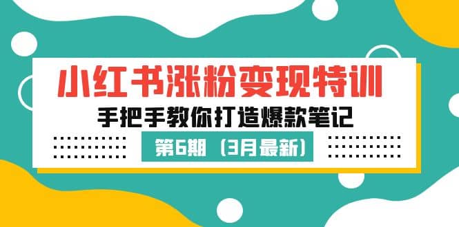 小红书涨粉变现特训·第6期，手把手教你打造爆款笔记（3月新课）_网创掘金