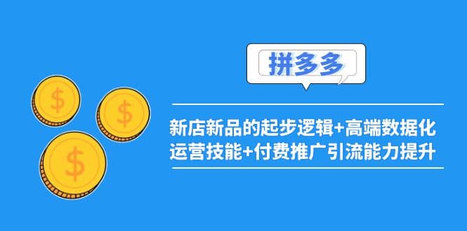 2022拼多多：新店新品的起步逻辑+高端数据化运营技能+付费推广引流能力提升_网创掘金