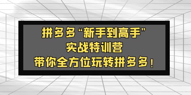 拼多多“新手到高手”实战特训营：带你全方位玩转拼多多_网创掘金