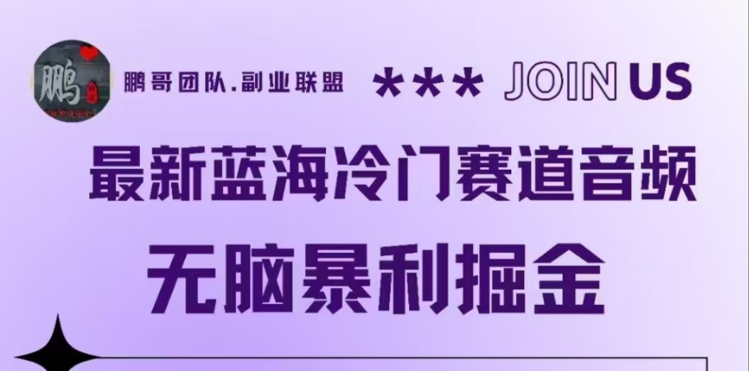 最新蓝海冷门赛道音频，无脑暴利掘金_网创掘金