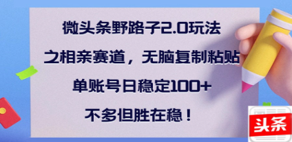 全网首发微头条野路子2.0玩法之相亲赛道，无脑搬砖复制粘贴，单账号日稳定300+保姆级教程_网创掘金