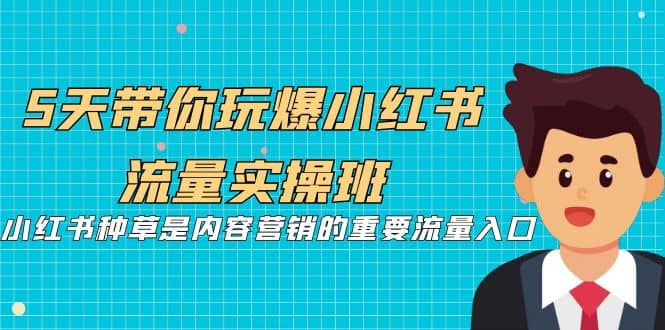 5天带你玩爆小红书流量实操班，小红书种草是内容营销的重要流量入口_网创掘金