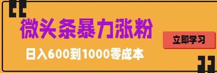 微头条暴力涨粉技巧搬运文案就能涨几万粉丝，简单0成本，日赚600_网创掘金