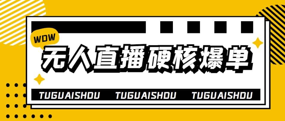 大飞无人直播硬核爆单技术，轻松玩转无人直播_网创掘金