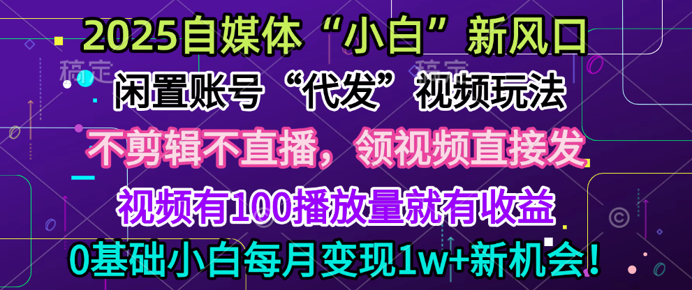 2025每月躺赚5w+新机会，闲置视频账号一键代发玩法，0粉不实名不剪辑，领了视频直接发，0基础小白也能日入300+_网创掘金