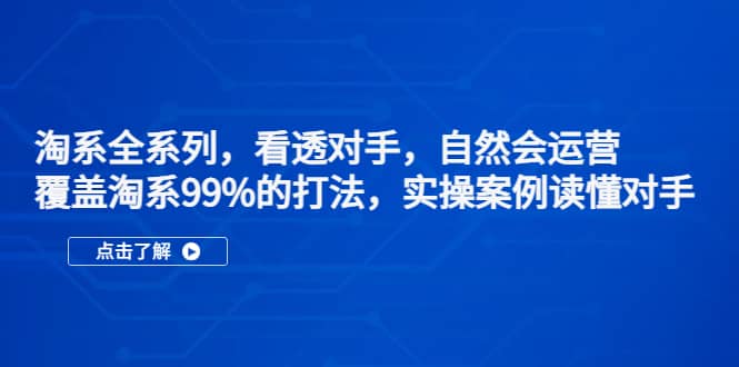 淘系全系列，看透对手，自然会运营，覆盖淘系99%·打法，实操案例读懂对手_网创掘金