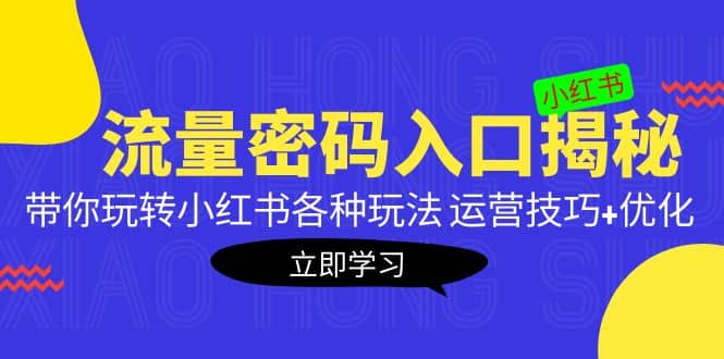 小红书流量密码入口揭秘：带你玩转小红书各种玩法 运营技巧+优化_网创掘金