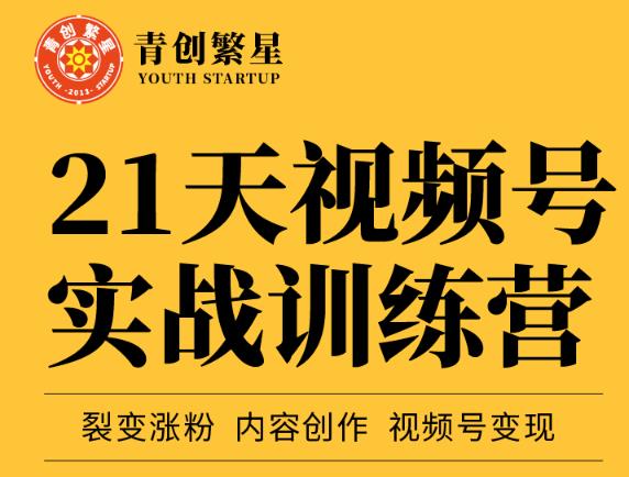 张萌21天视频号实战训练营，裂变涨粉、内容创作、视频号变现 价值298元_网创掘金