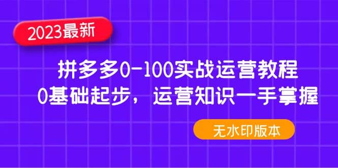 2023拼多多0-100实战运营教程，0基础起步，运营知识一手掌握（无水印）_网创掘金