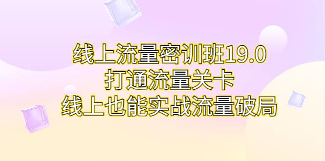 线上流量密训班19.0，打通流量关卡，线上也能实战流量破局_网创掘金
