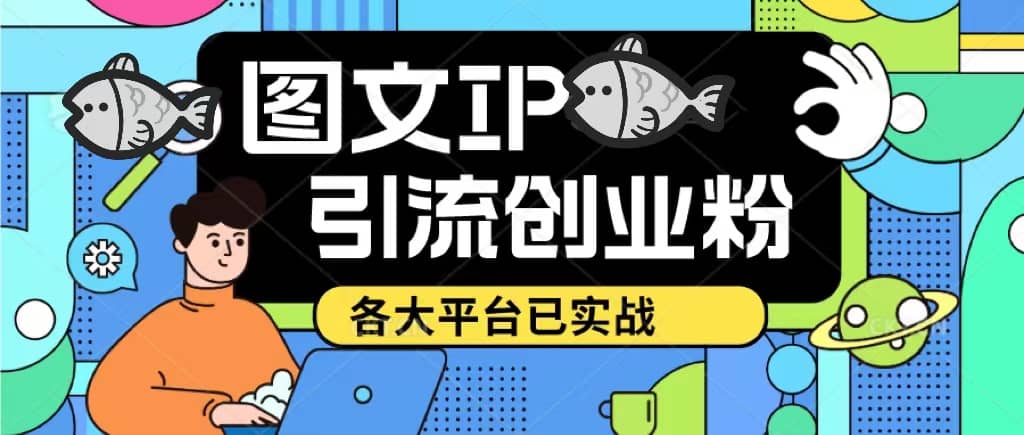 价值1688的ks dy 小红书图文ip引流实操课，日引50-100！各大平台已经实战_网创掘金