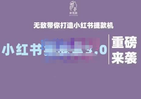 谢无敌·小红书实战营3.0，无敌带你打造小红书提款机 价值7999元_网创掘金