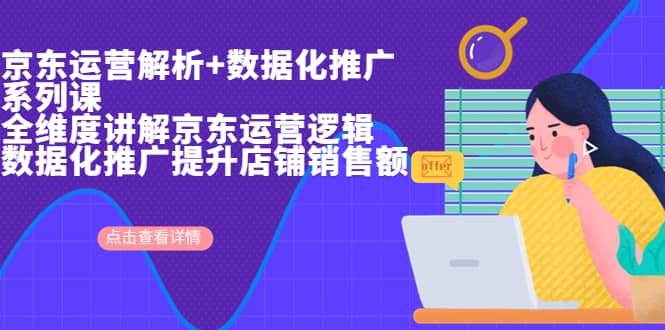 京东运营解析与数据化推广系列课，全维度讲解京东运营逻辑+数据化推广提升店铺销售额_网创掘金