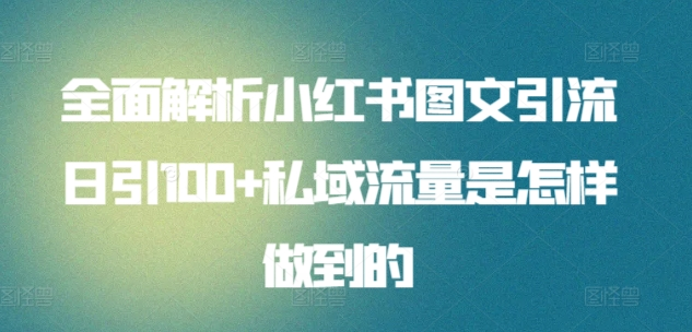 日引流100私域流量小红书图文是怎样做到的全面解析_网创掘金