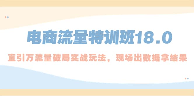 电商流量特训班18.0，直引万流量破局实操玩法，现场出数据拿结果_网创掘金