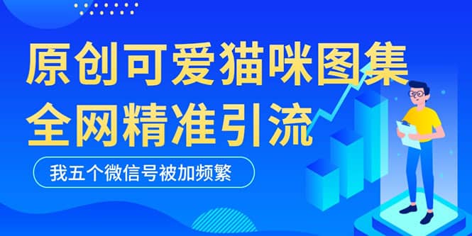 黑科技纯原创可爱猫咪图片，全网精准引流，实操5个VX号被加频繁_网创掘金