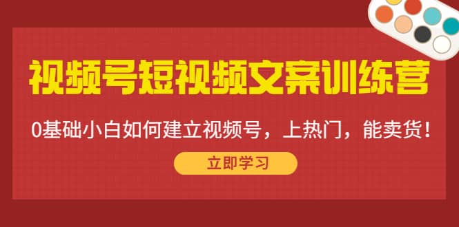 视频号短视频文案训练营：0基础小白如何建立视频号，上热门，能卖货！_网创掘金