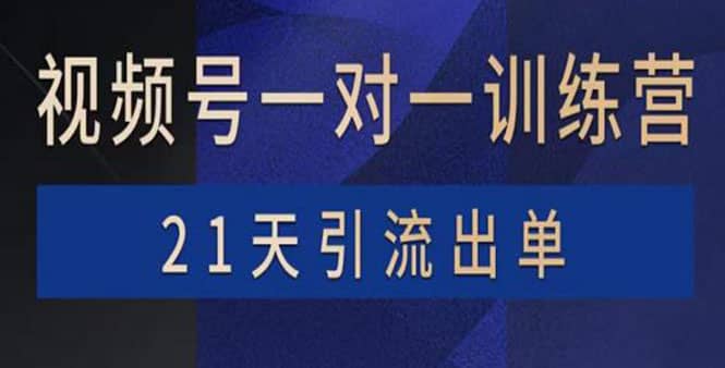 视频号训练营：带货，涨粉，直播，游戏，四大变现新方向，21天引流出单_网创掘金