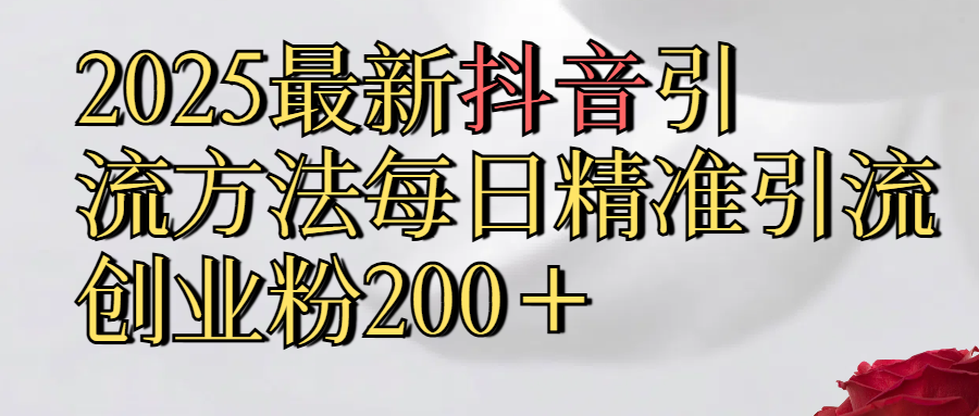 2025最新,抖音引流,方法每日精准引流创业粉300＋_网创掘金