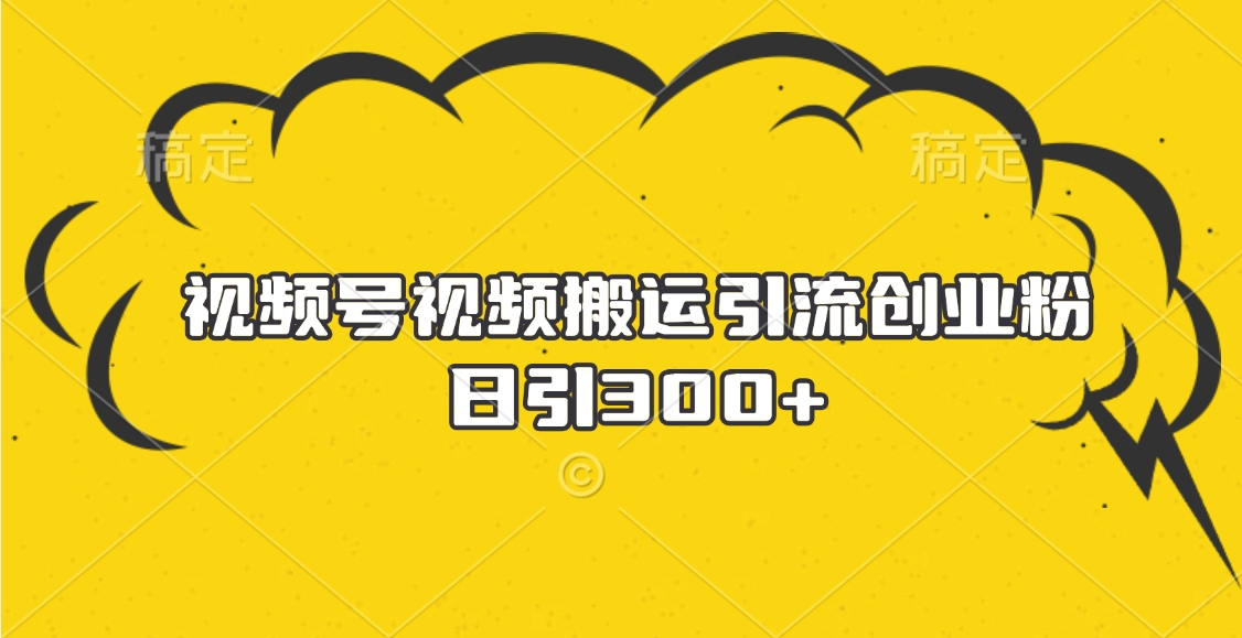 视频号视频搬运引流创业粉，日引300+_网创掘金