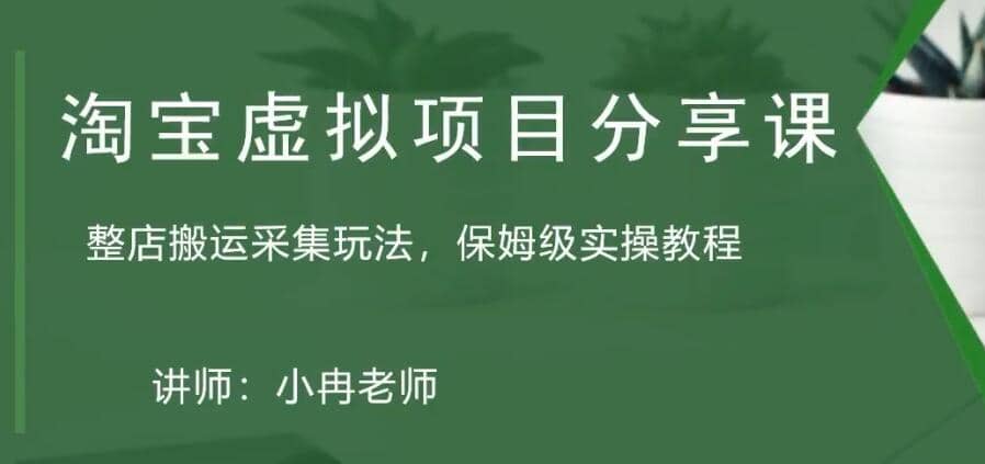 淘宝虚拟整店搬运采集玩法分享课：整店搬运采集玩法，保姆级实操教程_网创掘金