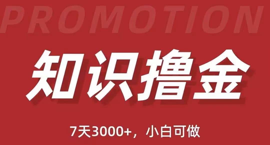 抖音知识撸金项目：执行力强当天见收益(教程+资料)_网创掘金