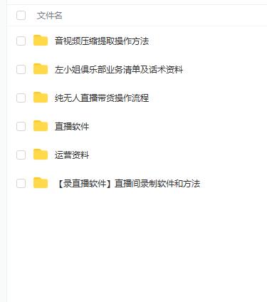 左小姐-直播带货俱乐部十三行、无人直播，全套教程附：工具、文档、话术资料_网创掘金