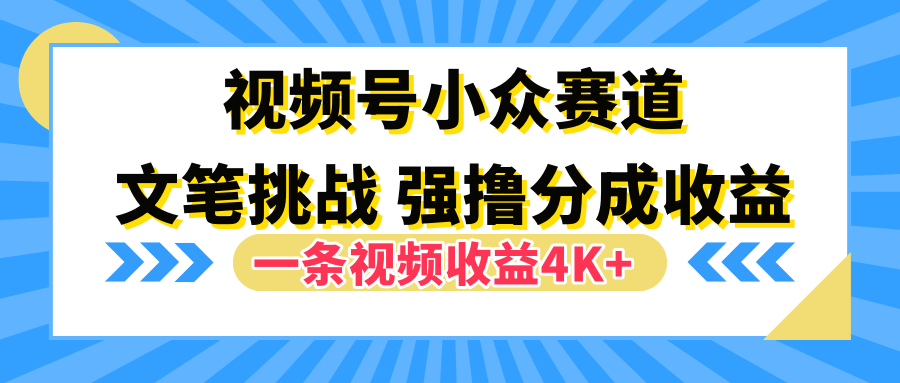 视频号小众赛道，文笔挑战，一条视频收益4K+_网创掘金