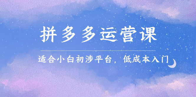拼多多运营课，适合小白初涉平台，低成本入门_网创掘金