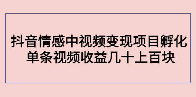 抖音情感中视频变现项目孵化_网创掘金